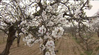 La inestabilidad de la primavera alivia la sequía tras un inverno casi veraniego