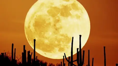 Dicen los expertos que ese satélite que nos vigila noche tras noche influye más de lo que pensamos Dicen los expertos que ese satélite que nos vigila noche tras noche influye más de lo que pensamos