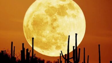 ¿Afecta la Luna a La Tierra?