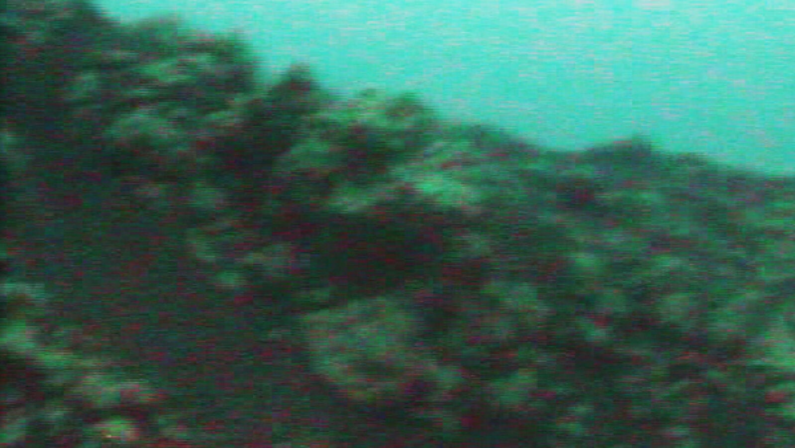 Nuevas imágenes del volcán submarino de la isla de El Hierro