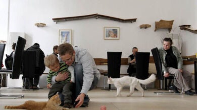 Tómate un café acompañado por un gato