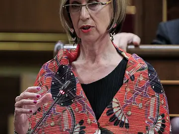 Rosa Díez en el Congreso Rosa Díez en el Congreso