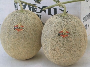 Dos melones se venden por 9.800 euros en una subasta en Japón 