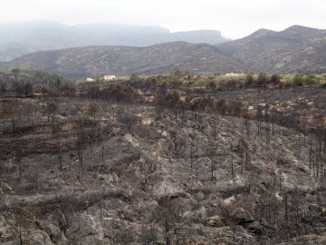 El incendio de La Rasquera, en fase de control