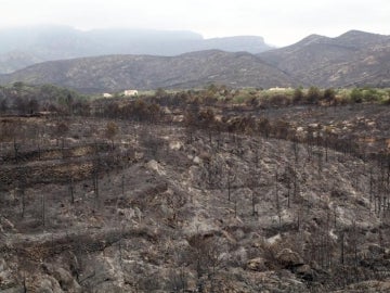 Incendio sofocado en Rasquera, en Tarragona Incendio sofocado en Rasquera, en Tarragona
