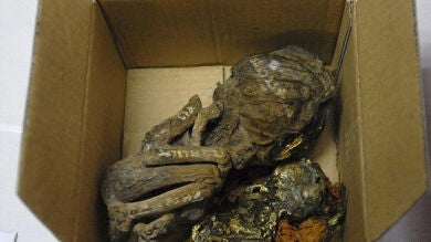 Detienen a un hombre con seis bebés muertos para venderlos por internet