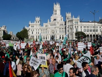 Manifestación contra recortes en Educación en MadridManifestación contra recortes en Educación en Madrid