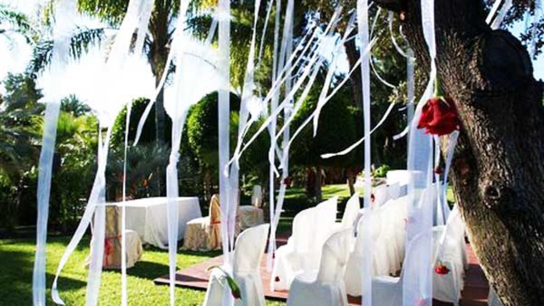 Enlace al aire libre.