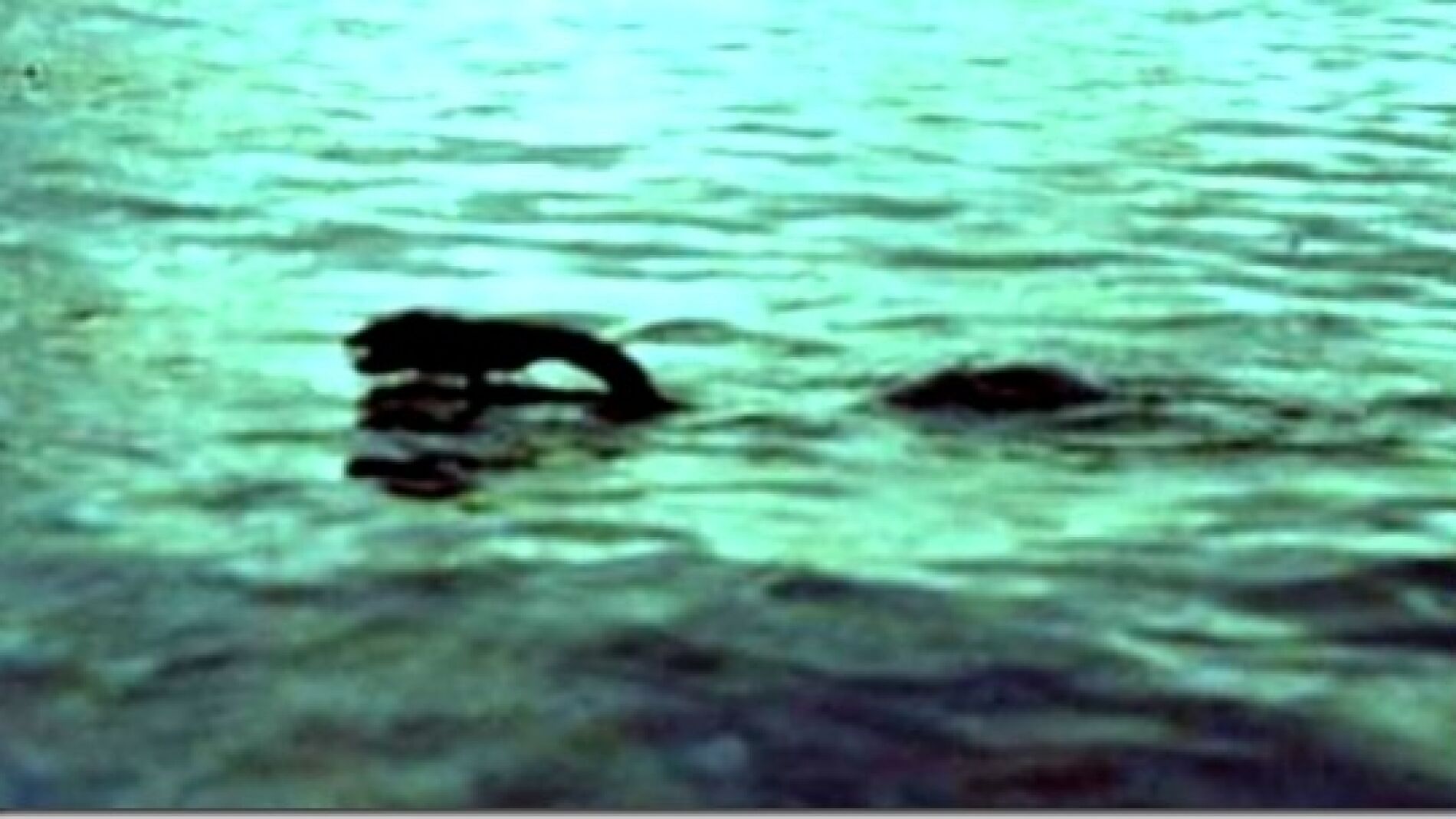 Monstruo Lago