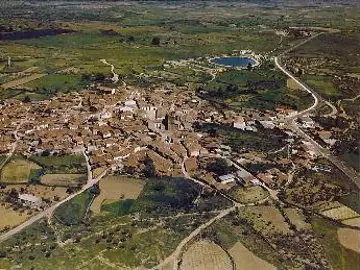 ¿Toros o empleo? ¿Toros o empleo?