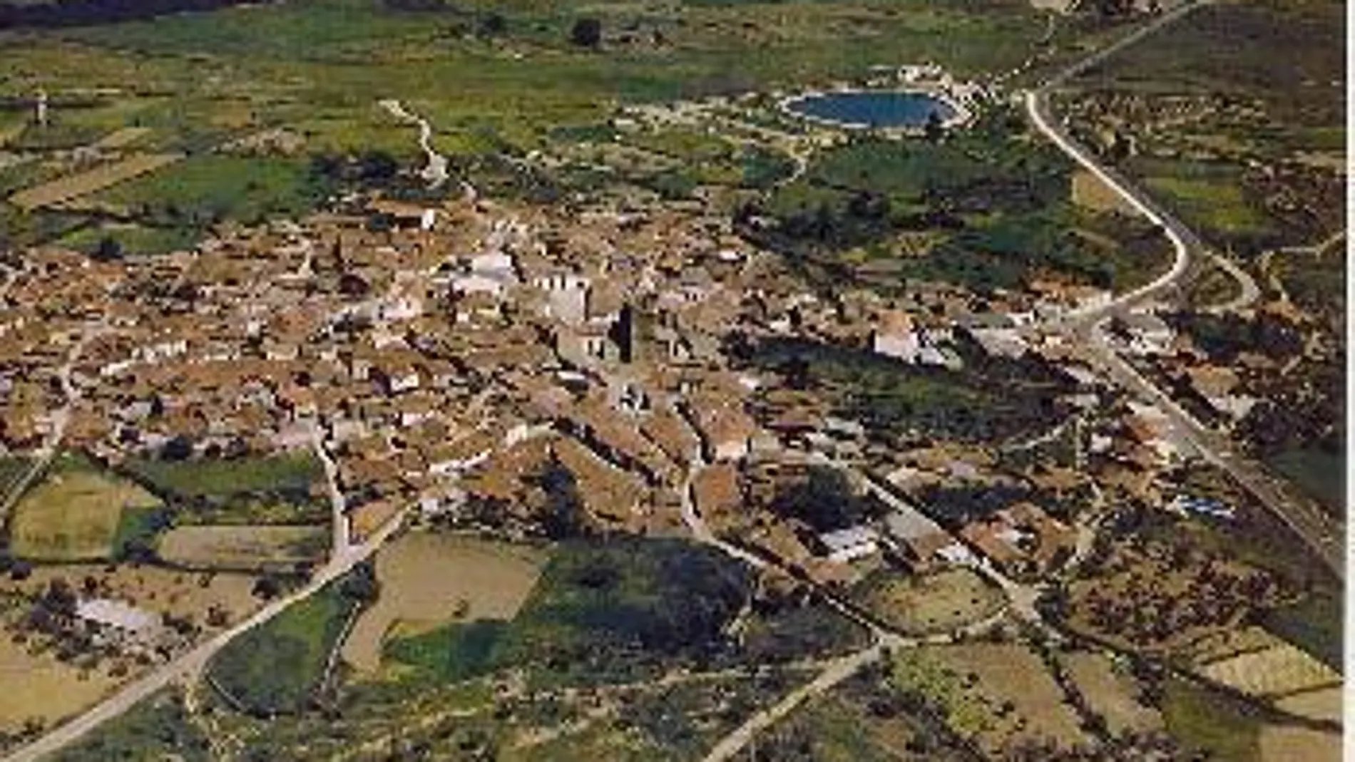 ¿Toros o empleo? ¿Toros o empleo?