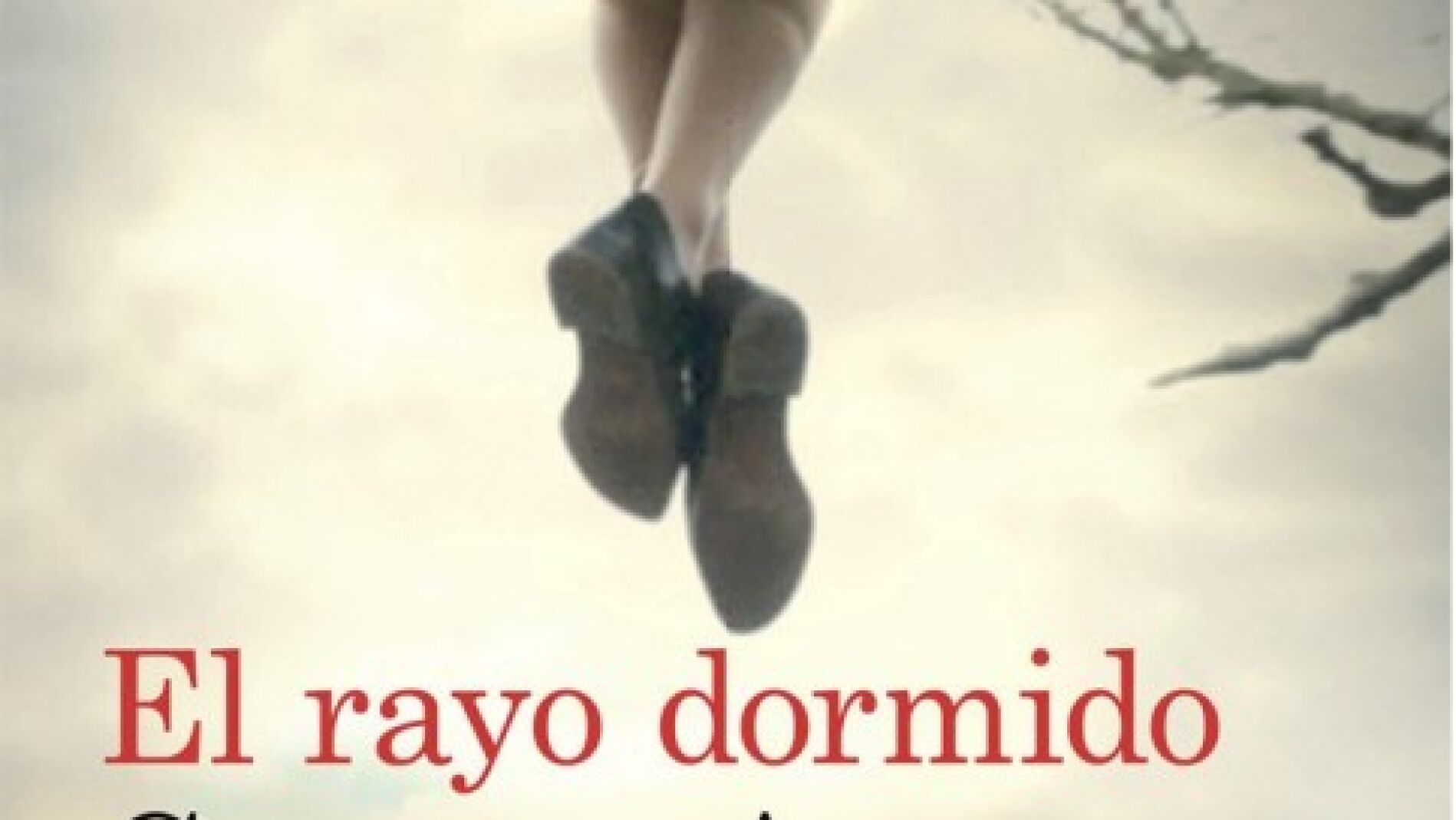 'El rayo dormido' de Carmen Amoraga