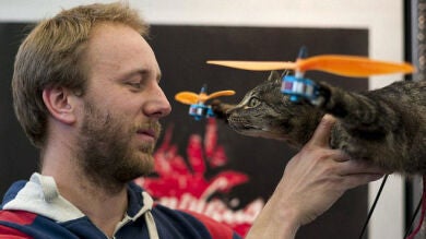 Un artista holandés convierte el cadáver de su gato en un helicóptero