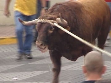 Festejo del toro enmaromado Festejo del toro enmaromado