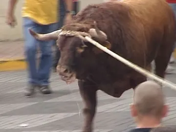 Festejo del toro enmaromado Festejo del toro enmaromado