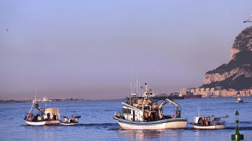 Pesqueros del puerto de Algeciras