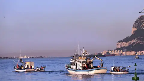 Pesqueros del puerto de Algeciras Pesqueros del puerto de Algeciras