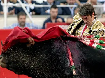 José Tomás, otra vez epicentro del toreo José Tomás, otra vez epicentro del toreo