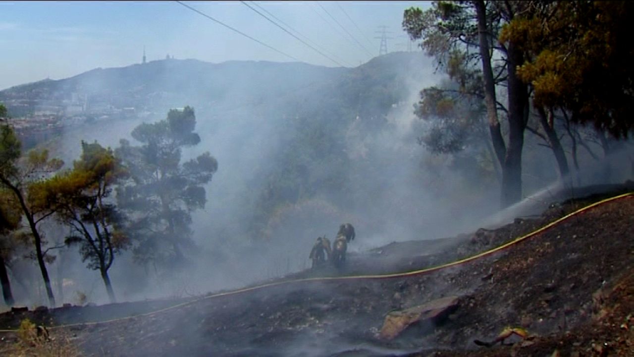 Controlado el incendio forestal en Collserola