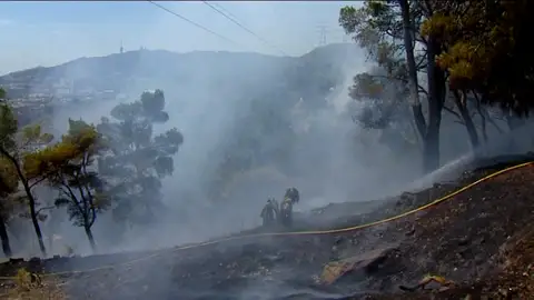 Incendio de Collserola Incendio de Collserola