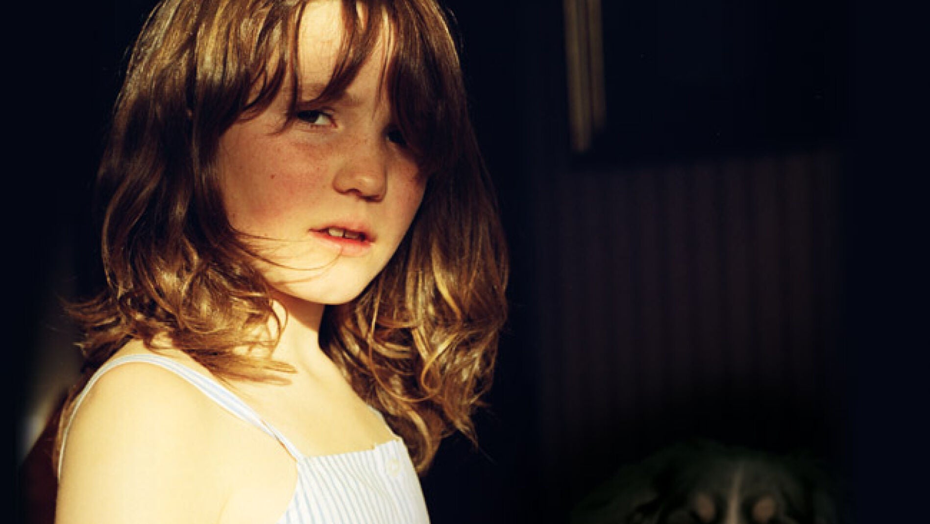 'Toda la vida', de Romana Petri