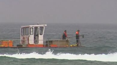 Un barco especializado recoge las medusas de la playa de las Canteras
