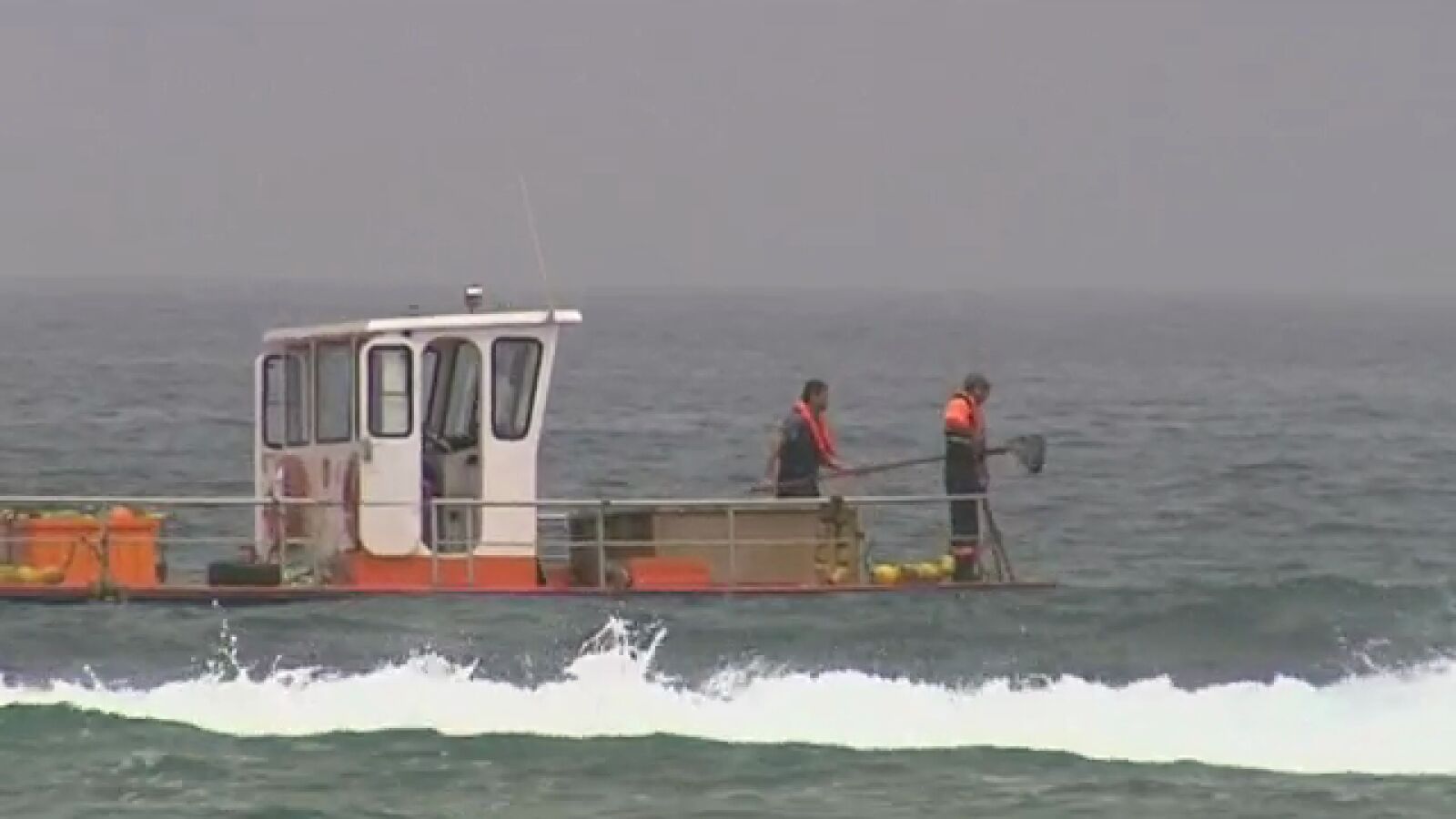 Un barco especializado recoge las medusas de la playa de las Canteras