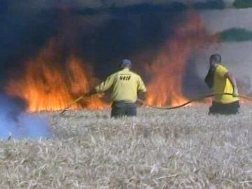 Fuerte incendio en Prats del Rei, en Barcelona Fuerte incendio en Prats del Rei, en Barcelona