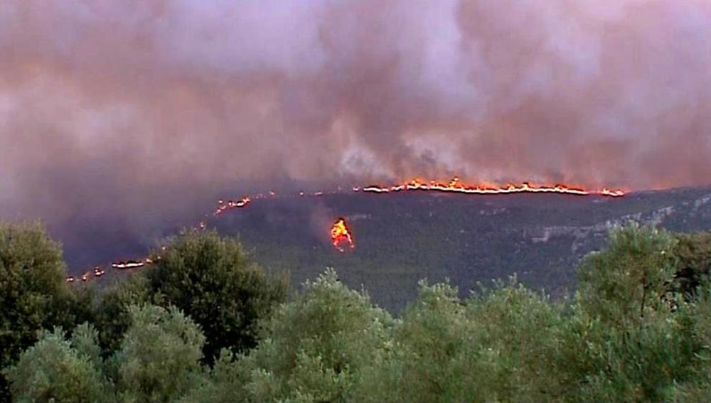  Más de 4.000 hectáreas calcinadas en el incendio en Valencia