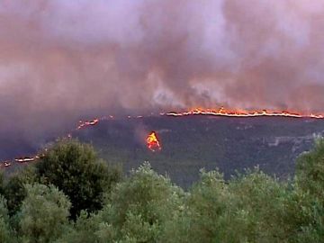  Más de 4.000 hectáreas calcinadas en el incendio en Valencia
