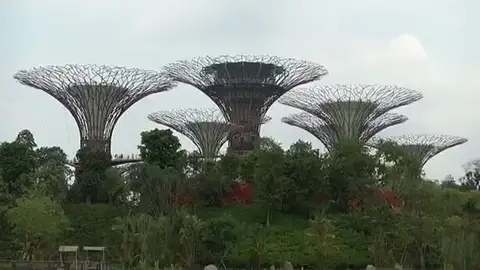 00023 00023