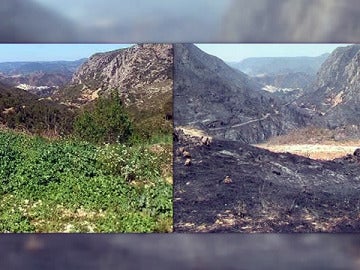 El efecto del fuego en Valencia
