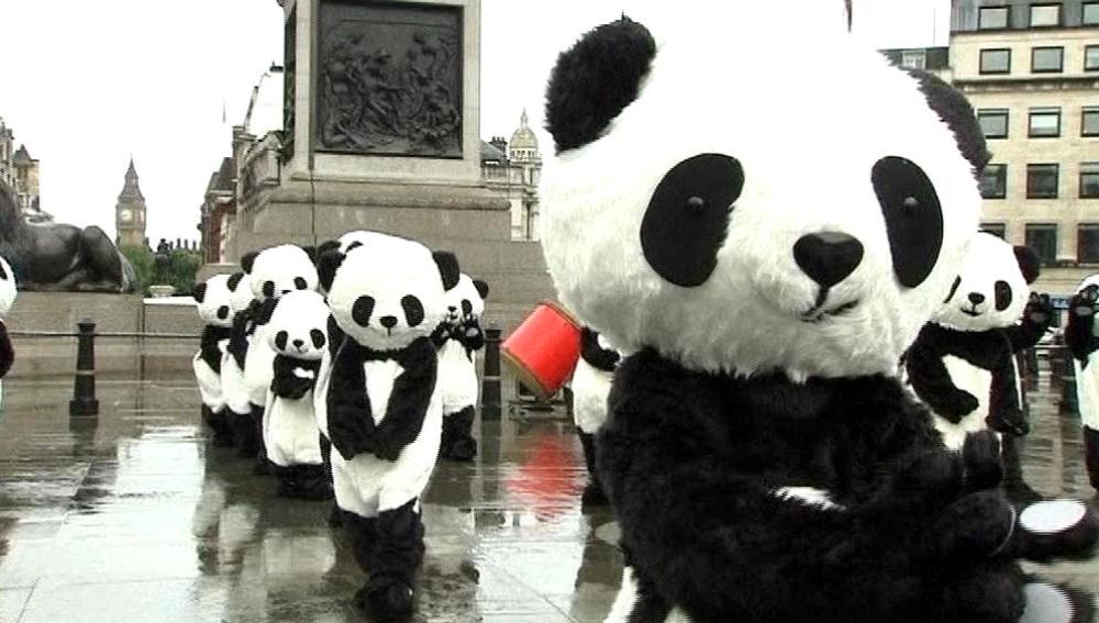 Falsos pandas invaden la plaza de Trafalgar