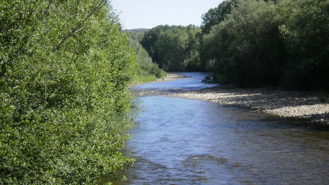Un hombre muere ahogado tras lanzarse a un canal para salvar a su perro