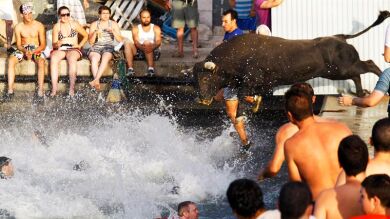 Esta semana se celebran en Denia los 'bous a la mar', y que se bañe el toro hasta el domingo