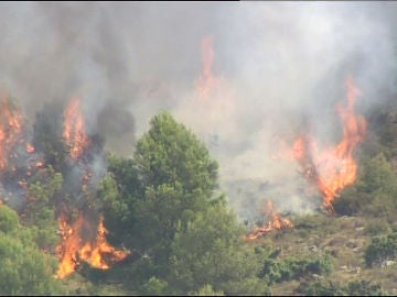 Incendio Alicante