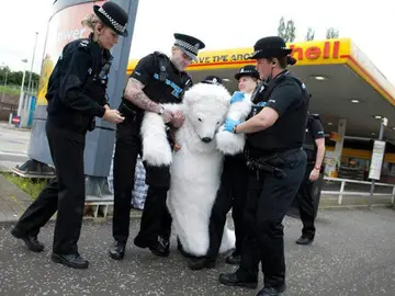La policía británica detiene a un manifestante disfrazado de oso. La policía británica detiene a un manifestante disfrazado de oso.