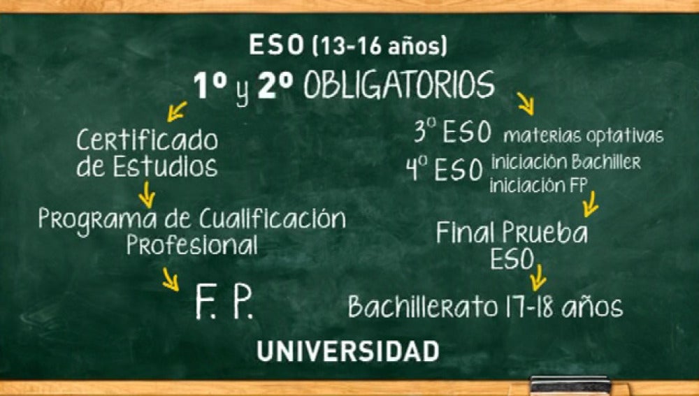 Nuevo modelo educativo