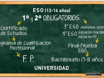 Nuevo modelo educativo