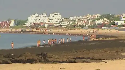 Playa de Huelva cubierta de algas Playa de Huelva cubierta de algas