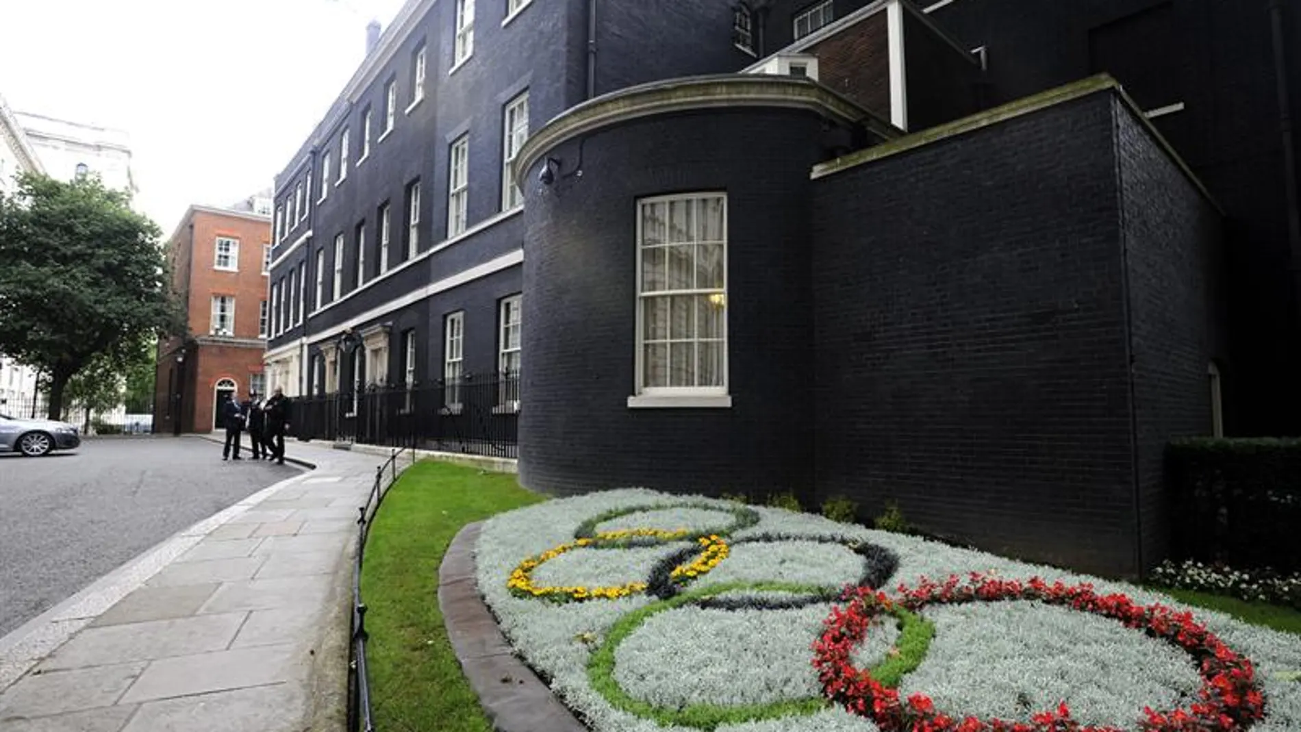 Aros olímpicos de flores Aros olímpicos de flores