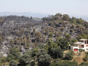 Incendio en Sant Feliu Sasserra