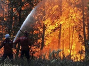 Los incendios arrasan Portugal