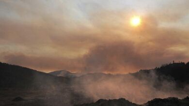 Cataluña estudia usar a reclusos para hacer tareas forestales