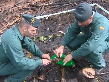 Dos agentes investigan en la zona incendiada