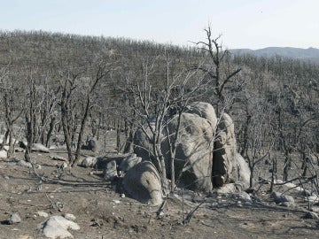 El incendio de Girona