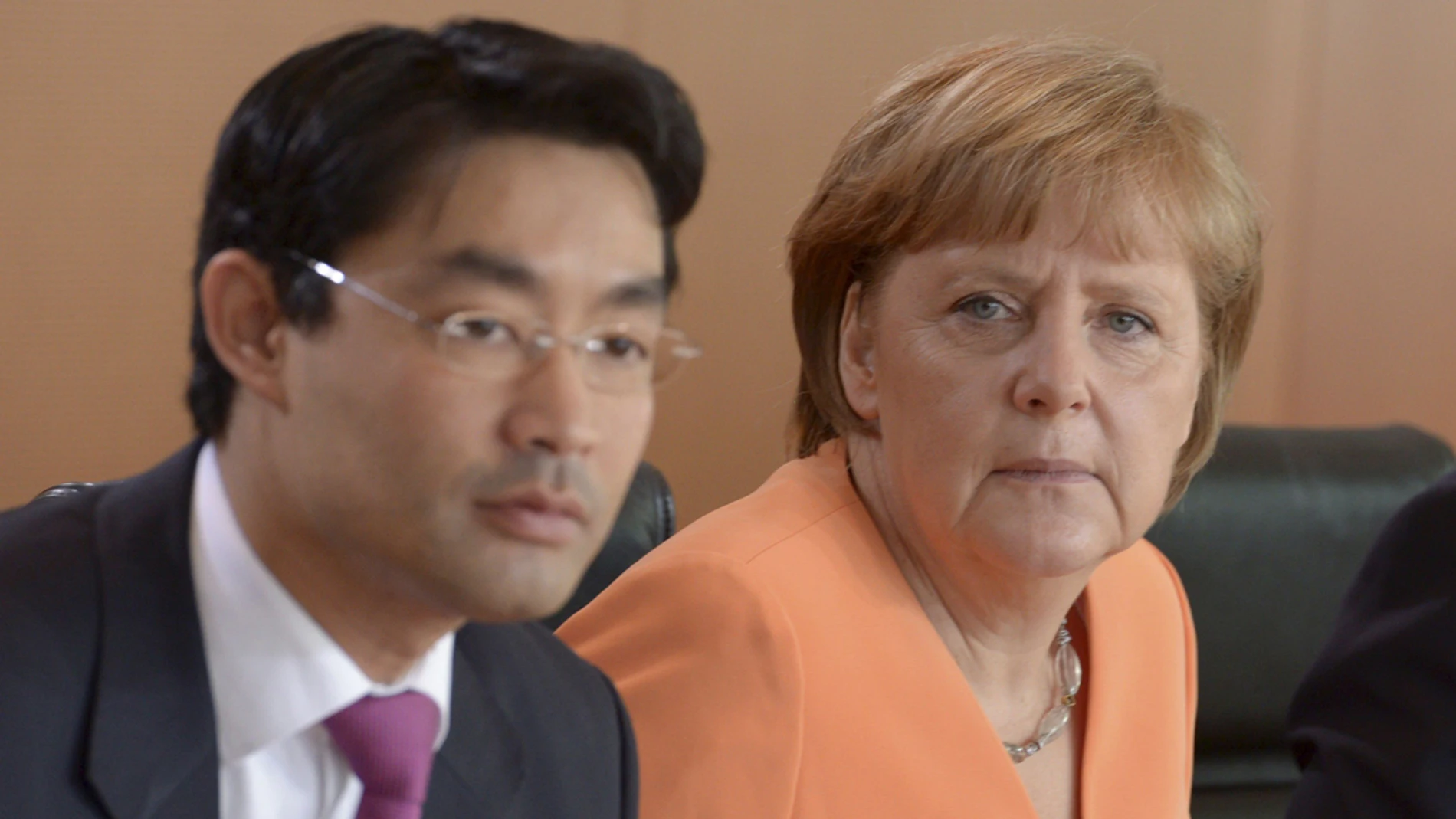 Philipp Rösler, Ministro de Economía alemán Philipp Rösler, Ministro de Economía alemán