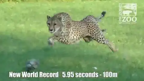 Récord histórico de 'Sarah' Récord histórico de 'Sarah'