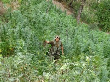 53 toneladas de marihuana (04-08-2012)