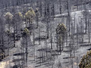 Incendio de Guadalajara